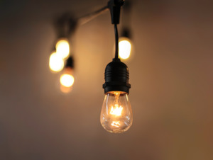 Festoon String Lights: Festoon String Lights with 11W Vintage Edison Bulbs