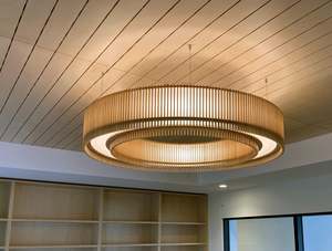 Pendant Lighting: iO 900mm Phoebus Pendant