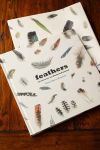 Nz History: Feathers of Aotearoa
