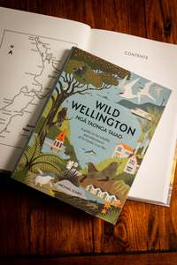Nz History: Wild Wellington Ngā  Taonga Taiao