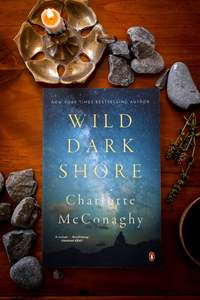 Modern Fiction: Wild Dark Shore