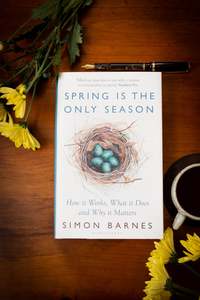 Spring is the Only Season