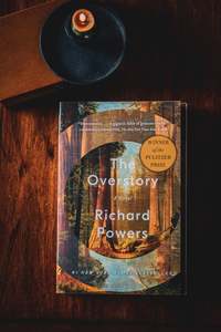 Award Winning Fiction: The Overstory (US Edition)