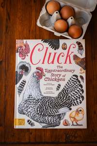 Children Young Adult: Cluck! The Eggstraordinary Story of Chickens