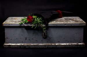 Products: Single Rose