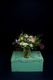 Glass Vase (add on)