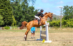 Products: Nitro Mahuika Nitro Equine