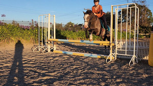 Products: Nitro Candyman Nitro Equine