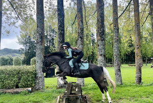 Nitro's Pocahontas Nitro Equine