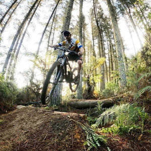 Products: Custom Plan & Consultation MTB PhD