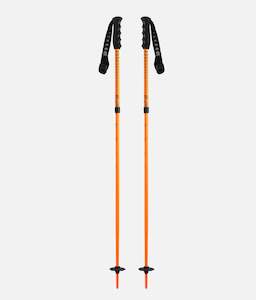 Ski Poles: Duos Junius Poles