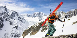 Black Crows: 2025.26 Camox Freebird Ski+Skins Set