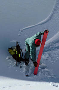 Black Crows: Draco Freebird