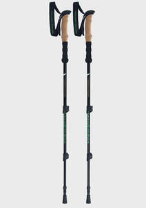 Hiking Poles: Just the Stick Poles