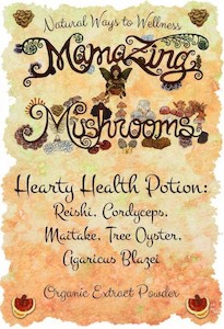 Products: Hearty Health Potion – MamaZing Mushrooms