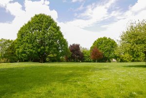 Products: Delivered – Ultimate Garden & Lawn Pack 2x1kg Garden Fertiliser 2x1kg Lawn Fertiliser