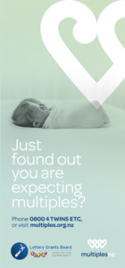 Multiples NZ Brochure