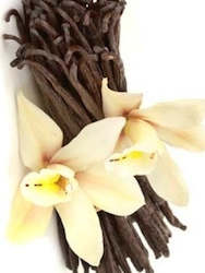 Essential Oils: Vanilla Essential Oil 5ML
