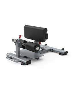 Benches: SISSY SQUAT