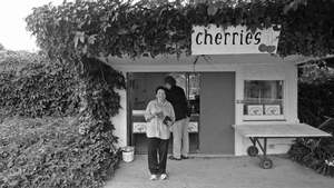 Richard Brimer: MARTI FRIEDLANDER
