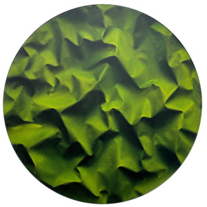 Kaye Mcgarva: SPRING