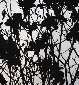 Neal Palmer: FAMILY TREE