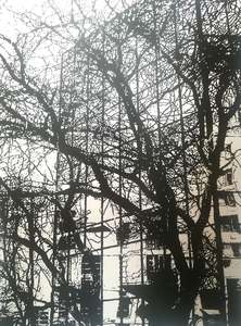 Neal Palmer: REFLECTIONS ON GEOMETRY, 2016