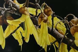 Neal Palmer: DNA GOLD