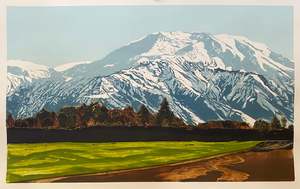 MT. HUTT, 2021