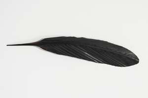 TUI COPPER FEATHER (44 CM)