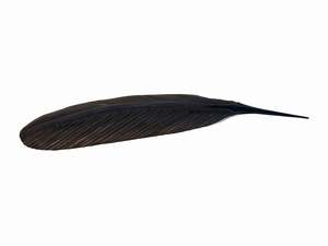 TUI ONO COPPER FEATHER (77 CM)