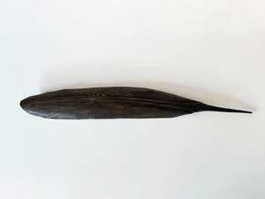 COPPER TUI TORO FEATHER 2025 - (55 CM)