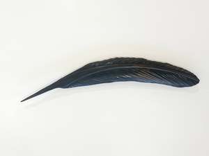 TUI RUA COPPER FEATHER (42 CM)