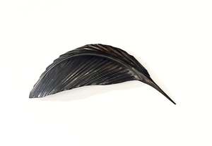 TUI WHA COPPER FEATHER (38 CM)
