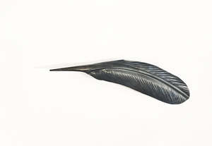 TUI TAHA COPPER FEATHER (32 CM)
