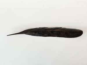 TUI COPPER FEATHER (50 CM)