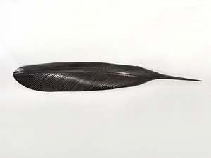 TUI COPPER FEATHER (120 CM)