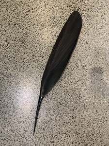 Mat Scott: COPPER TUI FEATHER - (130 CM)