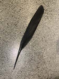 COPPER TUI FEATHER - (133 CM)