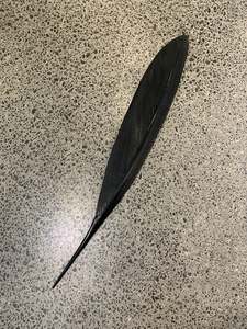 COPPER TUI FEATHER - (131 CM)