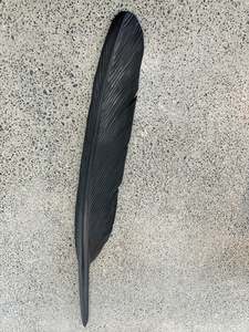 TUI FEATHER - (232 CM)