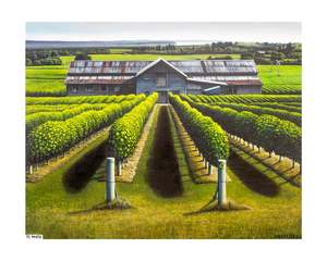 TE MATA WOOLSHED, 2023 (PRINT)