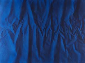 BLUE RUCHE