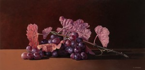 FRUIT OF THE GENUS VITIS