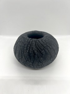 IRIS VESSEL 4