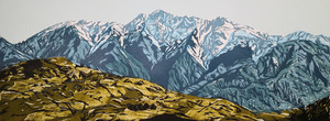 Down But Not Out: RUAHINE RANGES #2, 2020