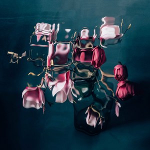 Catherine Cattanach: MAGNOLIAS 12