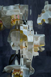 FLUX #31