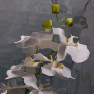 Catherine Cattanach: FLUX #19