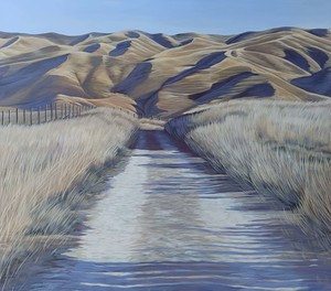 OTAGO RAIL TRAIL HILLS